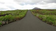 road-green-landscape-canary-islands-574472.jpg