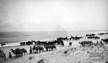 4th Light Horse Regiment at Tel el Marakeb.jpg