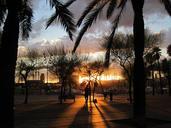 barcelona-spain-tropics-tropical-77565.jpg