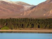 new-zealand-landscape-nature-536440.jpg