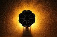 night-light-glow-glowing-light-bulb-1424359.jpg