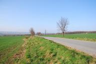 road-country-field-558676.jpg