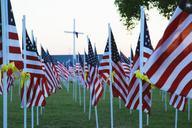 memorial-day-flag-usa-america-354082.jpg