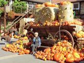 thanksgiving-autumn-pumpkin-october-453070.jpg