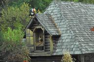 fall-cabin-house-wooden-cottage-1021733.jpg