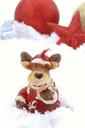 christmas-decoration-reindeer-snow-15817.jpg