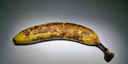 banana-fruit-ripe-brown-fruits-621516.jpg