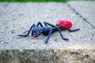 ant-summer-toy-insect-bug-cute-621087.jpg