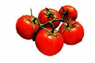 tomatoes-agriculture-antioxidants-71364.jpg