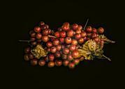 grapes-garden-fruit-nature-summer-1019075.jpg