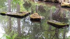 step-stones-water-brook-778885.jpg