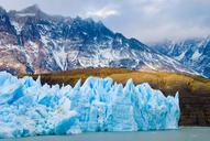 chile-patagonia-flock-nature-1463830.jpg