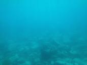 underwater-ocean-swim-divers-sea-170033.jpg