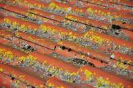 roof-tile-clay-tiles-pantile-red-1559803.jpg