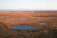 Tundra looking south toward Brooks range.jpg