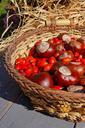 basket-rosehips-chestnut-autumn-991055.jpg