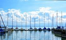 sailing-boats-port-boats-boat-masts-931516.jpg