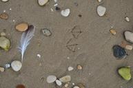 sand-footprints-seagull-beach-700497.jpg