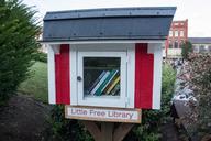 library-little-library-books-1220101.jpg