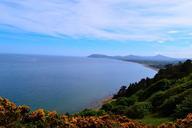 bay-water-view-gorse-sky-sea-206691.jpg