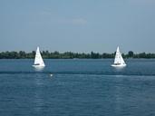 sailing-boat-sail-lake-water-sports-606004.jpg