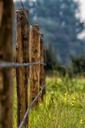 fence-barbed-wire-meadow-pasture-605999.jpg