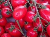 tomatoes-fresh-plum-vegetables-1526402.jpg