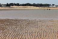 sand-sea-beach-nature-ocean-460494.jpg