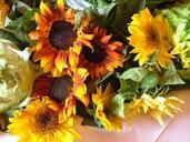 sunflowers-show-yellow-flower-643332.jpg