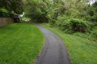 Scenic-road-through-green-forest.jpg