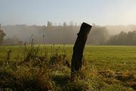 fence-post-fog-meadow-autumn-595113.jpg