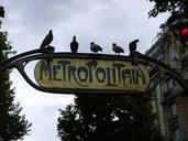 subway-metro-pigeons-birds-city-717293.jpg