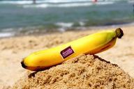 banana-beach-sun-sea-yellow-410358.jpg