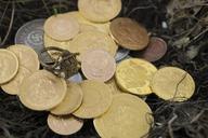 gold-nazi-treasure-money-coins-1110350.jpg