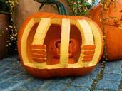 pumpkin-halloween-autumn-orange-1020880.jpg