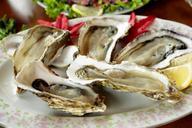 cuisine-shell-oyster-831580.jpg