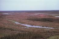 Marsh land unsuitable for agricultural processing.jpg