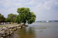 Waterfront-Park-Old-Town-Alexandria.jpg