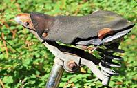 bicycle-saddle-bike-saddle-wheel-1611087.jpg