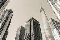 shanghai-skyscrapers-architecture-456761.jpg