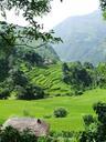 nepal-annapurna-trekking-landscape-978351.jpg