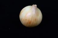 onion-vegetable-food-organic-371902.jpg