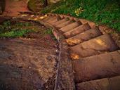 steps-success-climb-stairway-460221.jpg