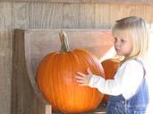 pumpkin-patch-harvest-orange-farm-771403.jpg