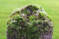 mast-stone-moss-post-fence-green-1053306.jpg