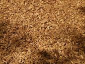 shredded-shredder-wood-wood-chips-7326.jpg