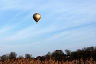 hot-air-balloon-captive-balloon-242922.jpg