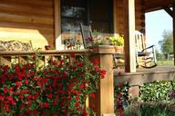 porch-farm-roses-house-home-524538.jpg