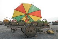 fruit-dare-parasol-1028236.jpg