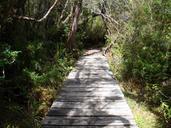 trail-path-landscape-508425.jpg